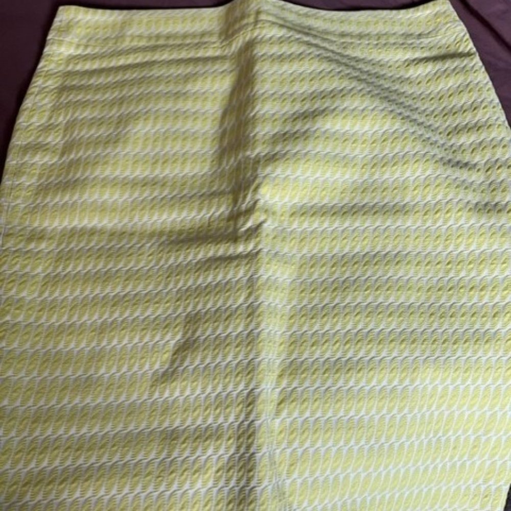 Barely worn pencil skirt